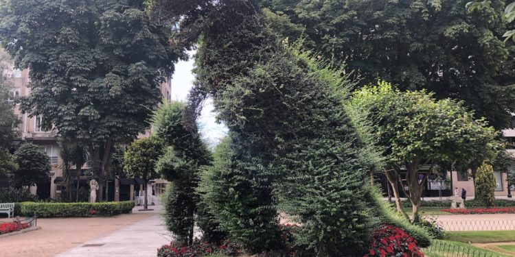 El Dinoseto en el olvido