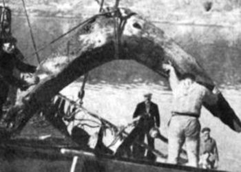 El ministerio otorga permiso para extraer restos de la Batalla de Rande