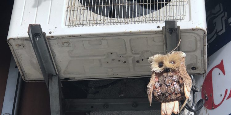 Para espantar a las palomas