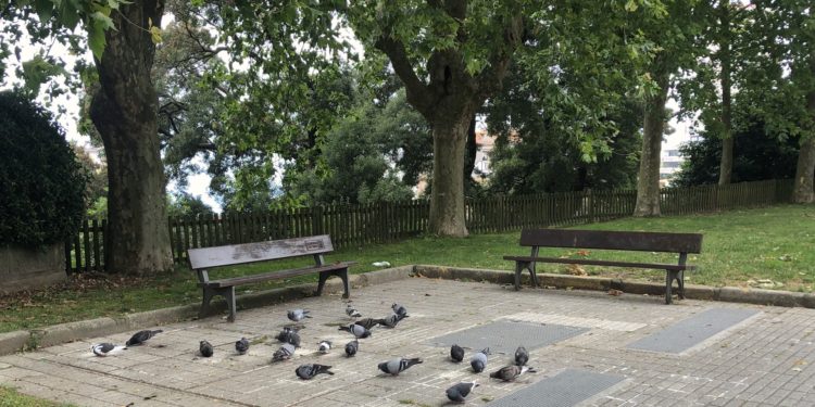 Remansos urbanos