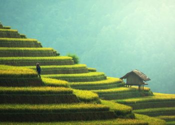 Asia: una opción innovadora que revolucionará el turismo