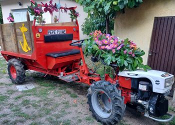 El Festival de Cans se hace mayor con “responsabilidad, resistencia y rebeldía”