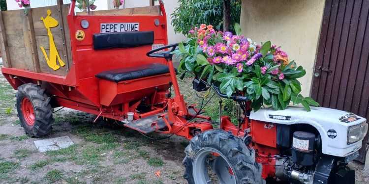 El Festival de Cans se hace mayor con “responsabilidad, resistencia y rebeldía”