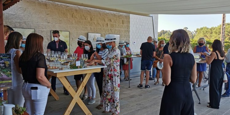 Del mar de A Guarda a las viñas del Baixo Miño