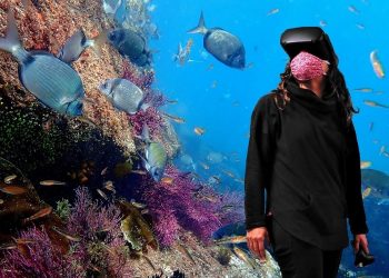 El proyecto vigués que acerca la riqueza submarina de la ría con realidad aumentada