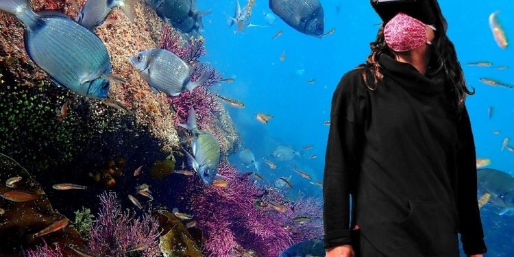 El proyecto vigués que acerca la riqueza submarina de la ría con realidad aumentada