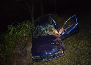 Herido grave un joven en Vigo tras caer en coche por un desnivel de 8 metros