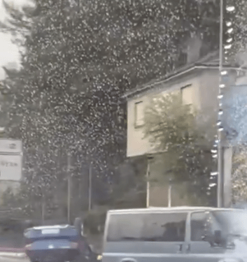 Vuelca un coche en la A-55 tras chocar con una furgoneta