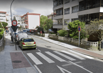 Buscan en Vigo a la dueña de una perra que mató a otro can tras morderle en el cuello