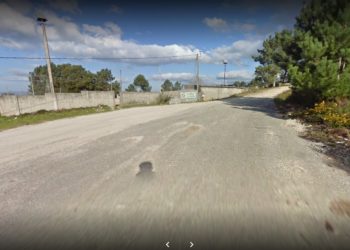 Fallece un hombre en As Neves al que le cayó encima un árbol que podaba