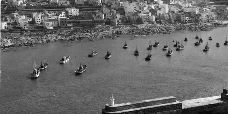 Orpagu sale a la calle para celebrar su 25 aniversario