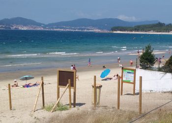 Paseo reivindicativo en Vigo para que dueños y mascotas puedan ir juntos a la playa