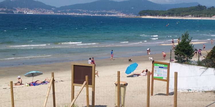 Paseo reivindicativo en Vigo para que dueños y mascotas puedan ir juntos a la playa
