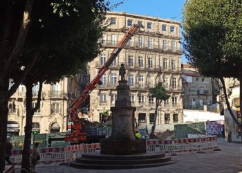 O BNG de Vigo alerta dunha talla de árbores na Praza da Princesa
