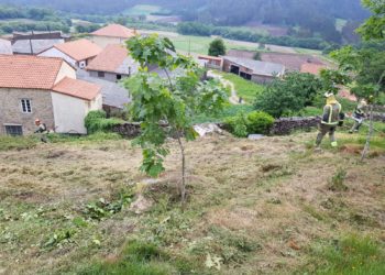 O convenio de protección das aldeas impulsado pola Xunta incrementou as parcelas e a superficie xestionada preto de vivendas nun 20% en dous anos