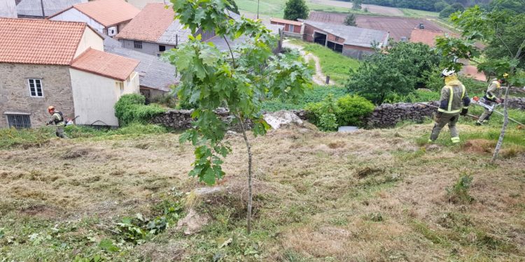 O convenio de protección das aldeas impulsado pola Xunta incrementou as parcelas e a superficie xestionada preto de vivendas nun 20% en dous anos