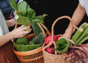 Nace en Vigo la primera feria vegana y sostenible de Galicia