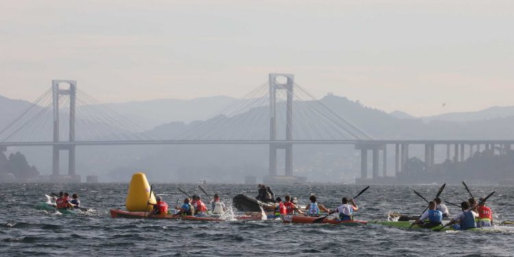 El Piragüismo Cambados brilla en el Trofeo Concello de Vigo