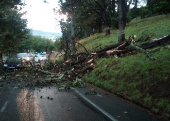 Mañana de sobresaltos en Vigo: cuatro accidentes y tres árboles caídos