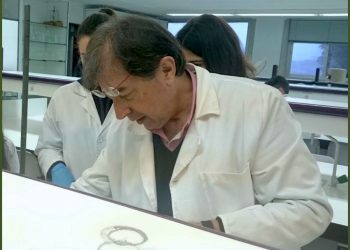 El engaño de los foros de educación