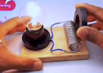 La privatización de las eléctricas y el precio de la luz