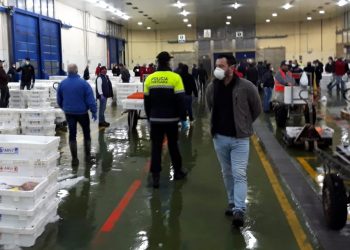 La lonja de Vigo, a salvo de intrusos gracias al 5G