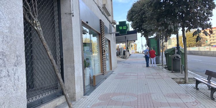 Nadie llora por los árboles