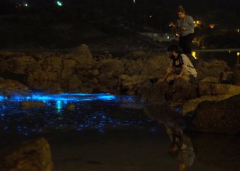 El mar de ardora ilumina la ría de Vigo