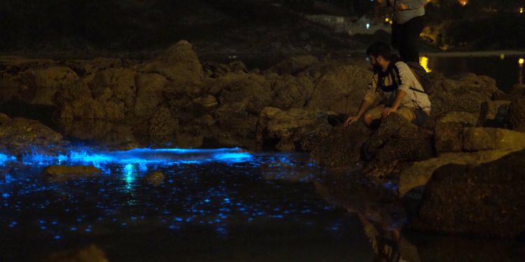 El mar de ardora ilumina la ría de Vigo