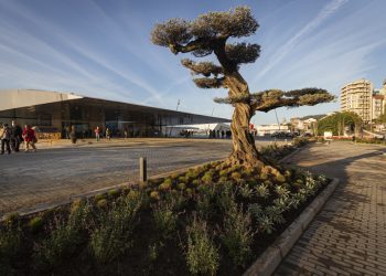 Así es el nuevo centro comercial Vialia Vigo: todos los secretos  que encierra el macrocomplejo