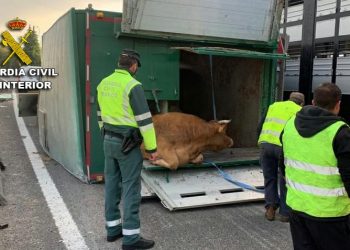 Caos circulatorio en los accesos de Vigo: accidentes en la AP-9 y la A-55