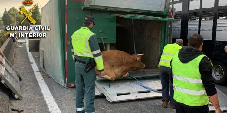 Caos circulatorio en los accesos de Vigo: accidentes en la AP-9 y la A-55