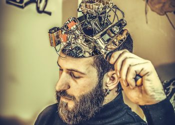 Neurogénesis: células del cerebro con capacidad de regenerarse incluso en edad adulta