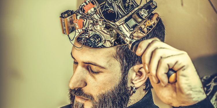 Neurogénesis: células del cerebro con capacidad de regenerarse incluso en edad adulta