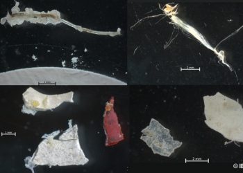 Fibras y láminas de pintura, principal fuente de pequeños plásticos en la ría de Vigo