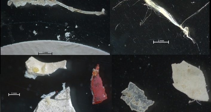 Fibras y láminas de pintura, principal fuente de pequeños plásticos en la ría de Vigo