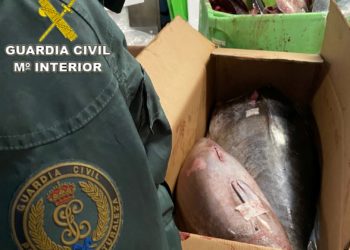 La Guardia Civil interviene más de media tonelada de atún en Vigo