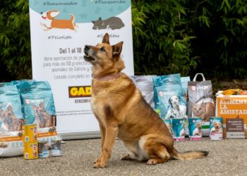 Los clientes de Gadis donan 79.797 kilos de productos a más de 60 protectoras de animales