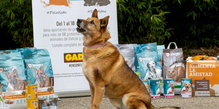 Los clientes de Gadis donan 79.797 kilos de productos a más de 60 protectoras de animales