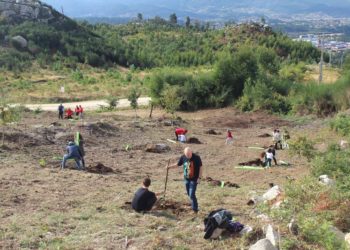 Chandebrito planta árbores para non esquecer