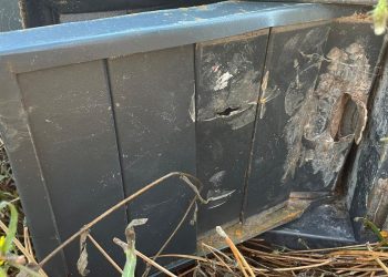 Localizan en un monte de Vigo una caja fuerte, joyas y relojes robados en un chalet