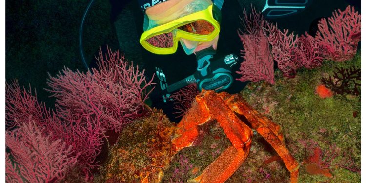 Vigo recupera la Semana de Cine Submarino en su 30 aniversario