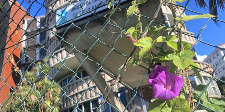 El policlínico Cíes sigue cerrado