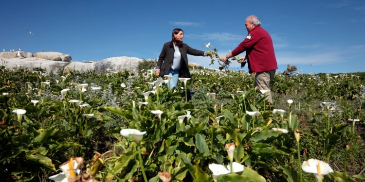 TVE viaja a las islas Cíes para “descubrir las claves” de su conservación medioambiental