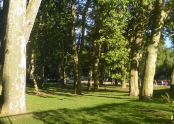 Detenidos dos menores en Vigo por robar unas mochilas en el parque de Castrelos