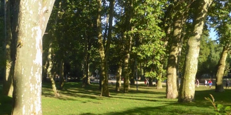 Detenidos dos menores en Vigo por robar unas mochilas en el parque de Castrelos