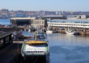 La UE acuerda las cuotas pesqueras tras moderar la rebaja de  merluza y lenguado