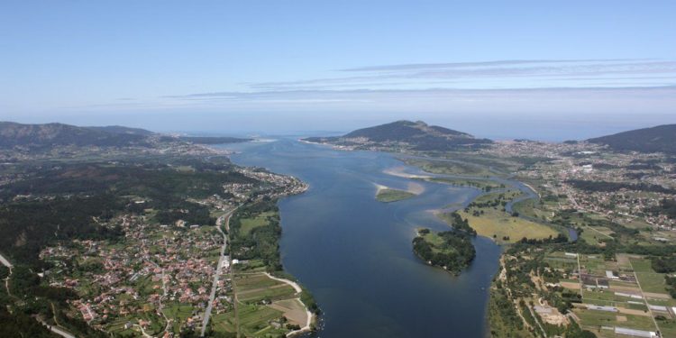 Unha viaxe ornitolóxica polo Miño e o Miñor con ‘Voando nas Rías Baixas’