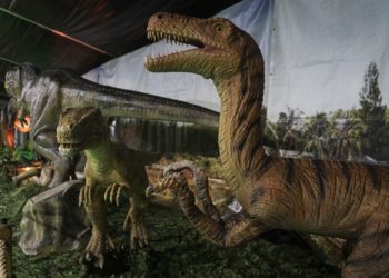 «Living Dinosaurs» presenta cerca de 40 réplicas animatrónicas
