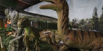 «Living Dinosaurs» presenta cerca de 40 réplicas animatrónicas